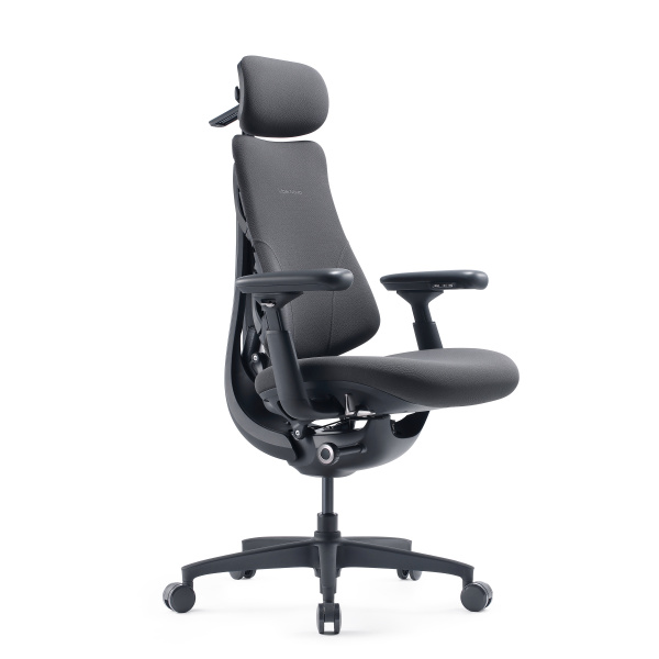 Кресло LiberNovo Dynamic Omni OC1 Gen (обновленная версия), размер 48 см, цвет Graphite, с подставкой для ног. Глобальная версия